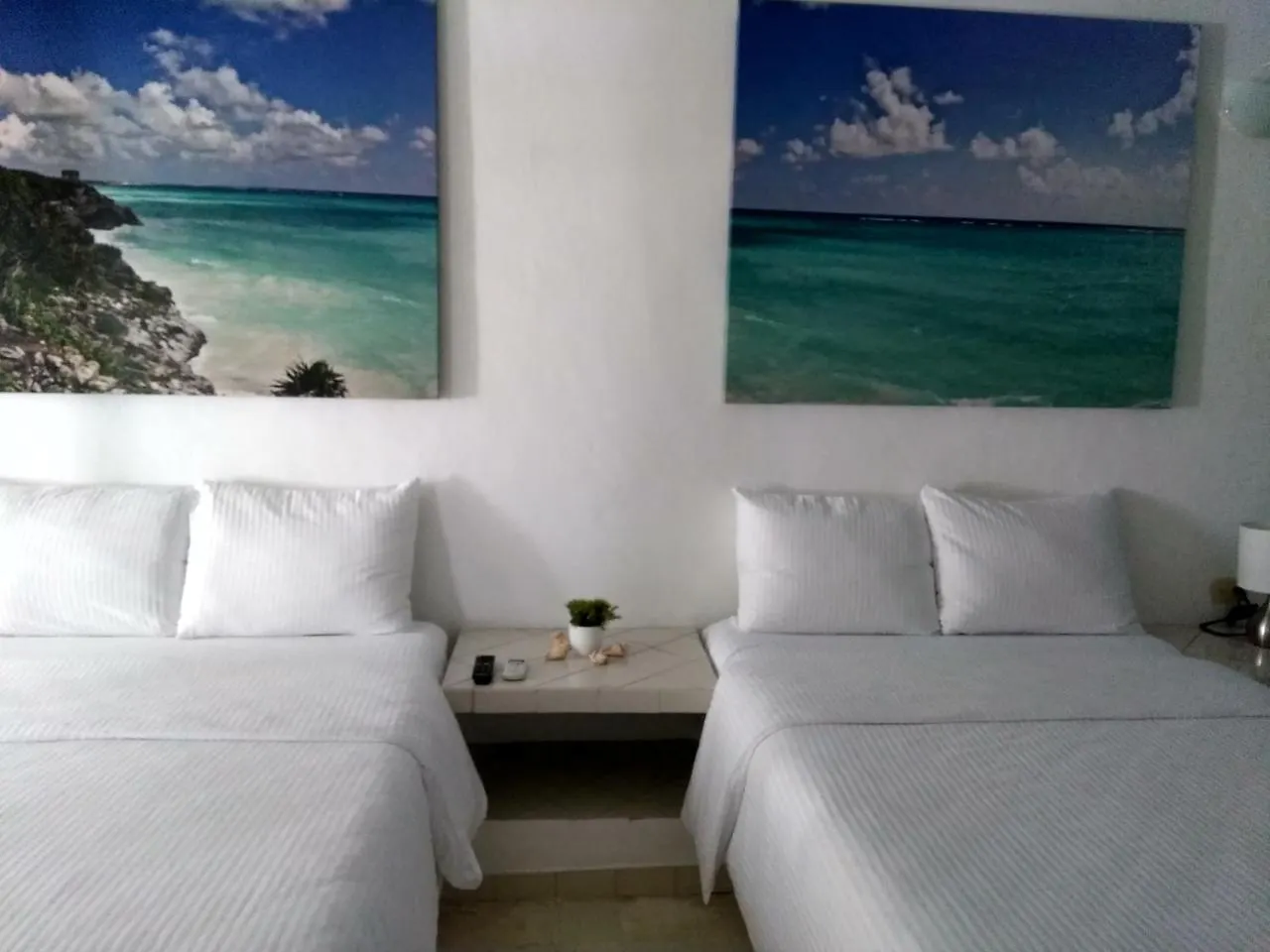Appart hôtel Apart Hotel Tortuga Playa del Carmen